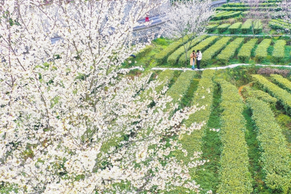 ������԰