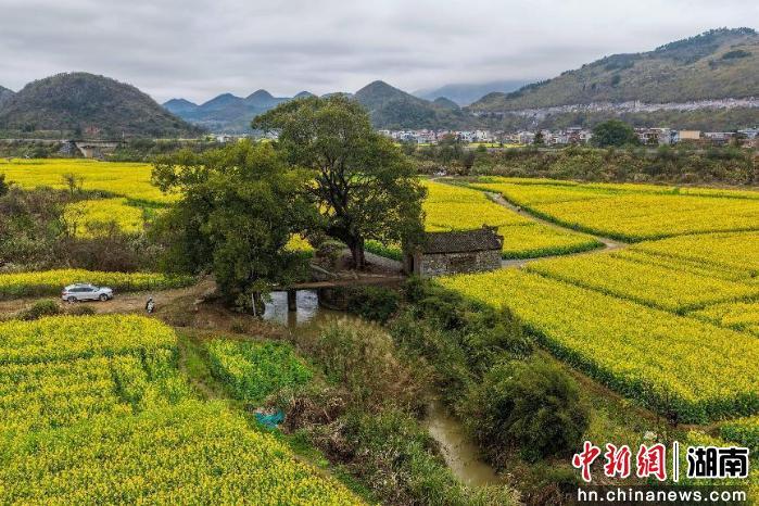 ��ũ�����侰�� ���Ͻ��������������������