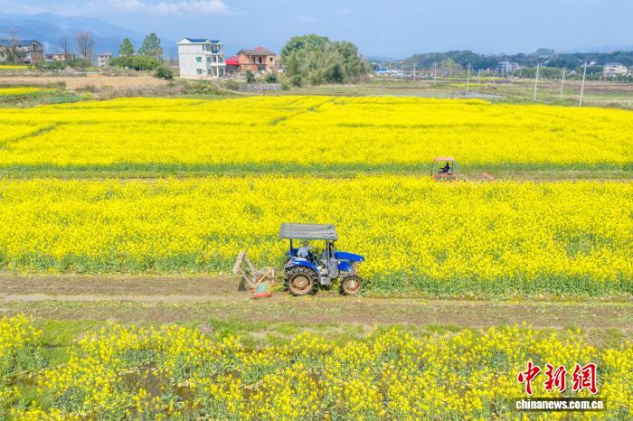 ���������� ���϶���������æ