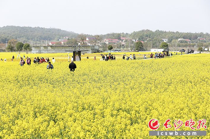 �ͻ�����ӭ�������š�