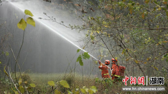 �з���ɭ�����������ֳ���