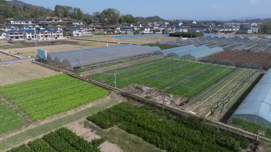 ͩƺ���߲˻��ء�