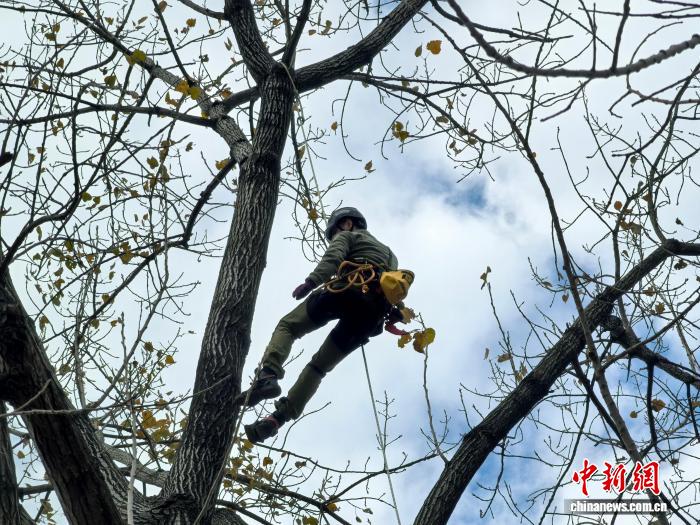 �����˶���С������Ӧ�� �����й���������Ȼ����