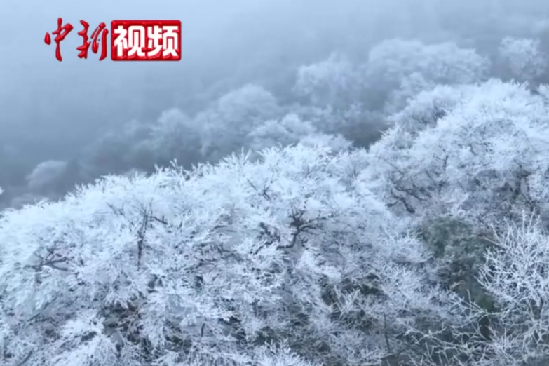 ��װ�ع������϶��ӭ��ڡ�������ͯ������