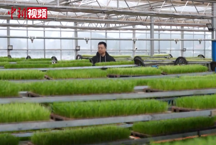 ����ס�ϡ����ݷ���