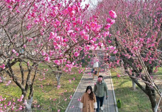 ��ɳ������÷����������