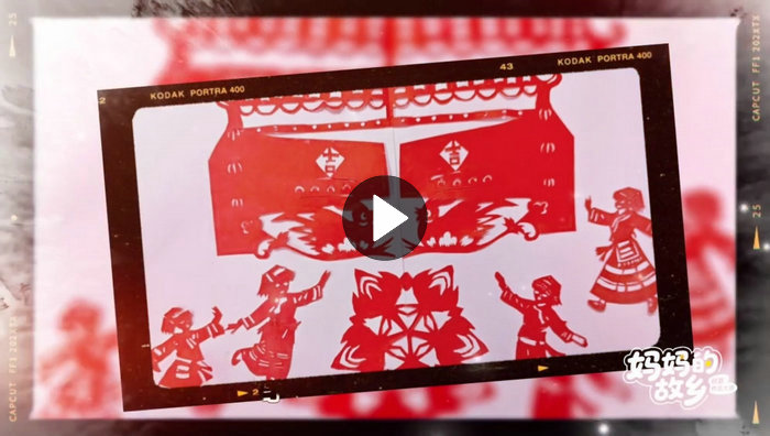 ��ֽ����������