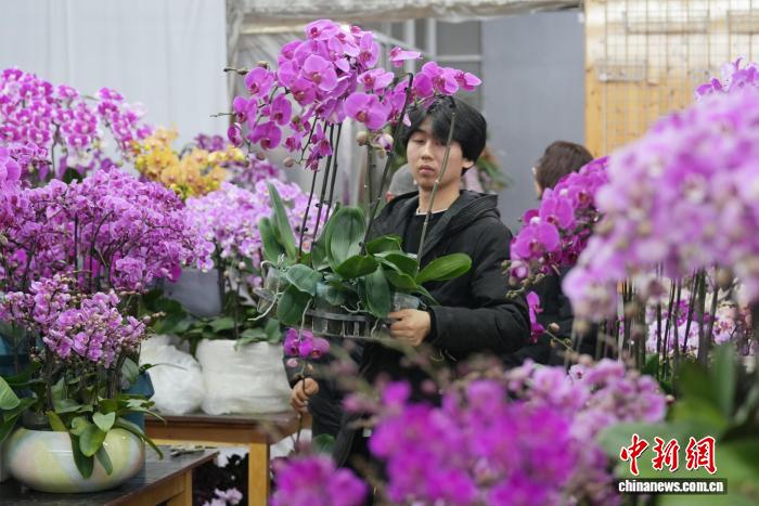 �´����� ��ɳ����������