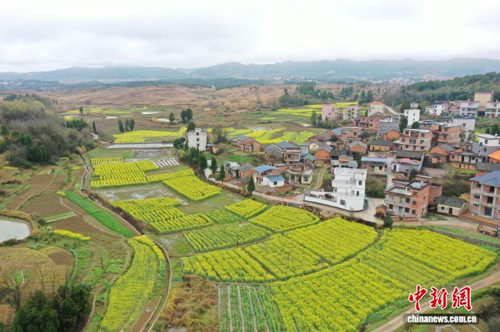 ������䡰�ƽ�ء� ���������Ͳ˻�����ũ���ں�